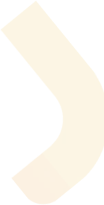 Prolocums icons
